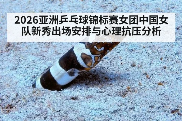 2026亚洲乒乓球锦标赛女团中国女队新秀出场安排与心理抗压分析